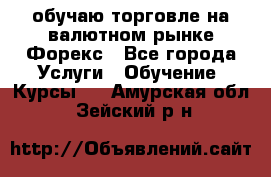 обучаю торговле на валютном рынке Форекс - Все города Услуги » Обучение. Курсы   . Амурская обл.,Зейский р-н